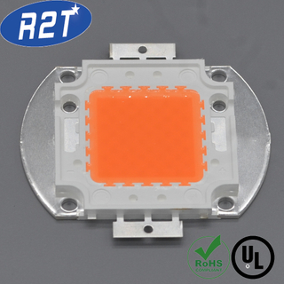 Full Spectrum Grow COB LED Chip