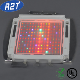 COB LED factory wholesale 150w full spectrum Grow COB led Chip